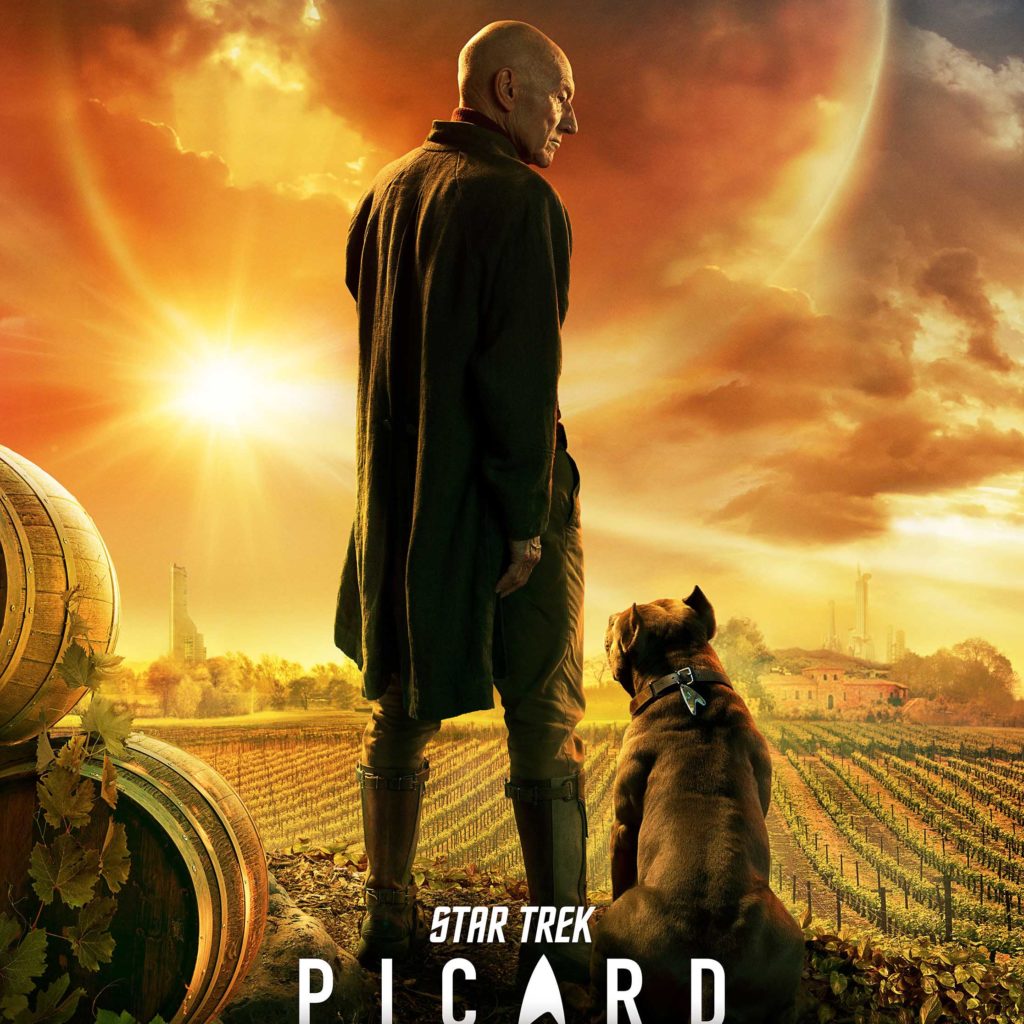 Picard Series