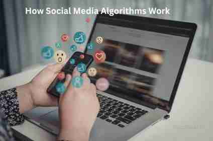 How Social Media Algorithms Work