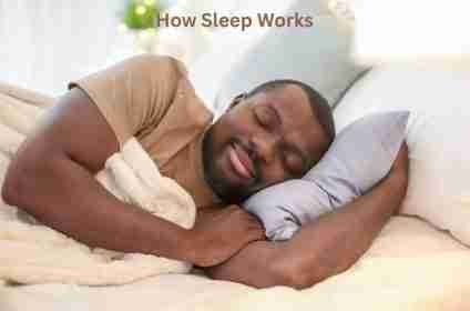 How Sleep Works