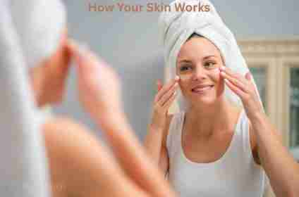 How Your Skin Works